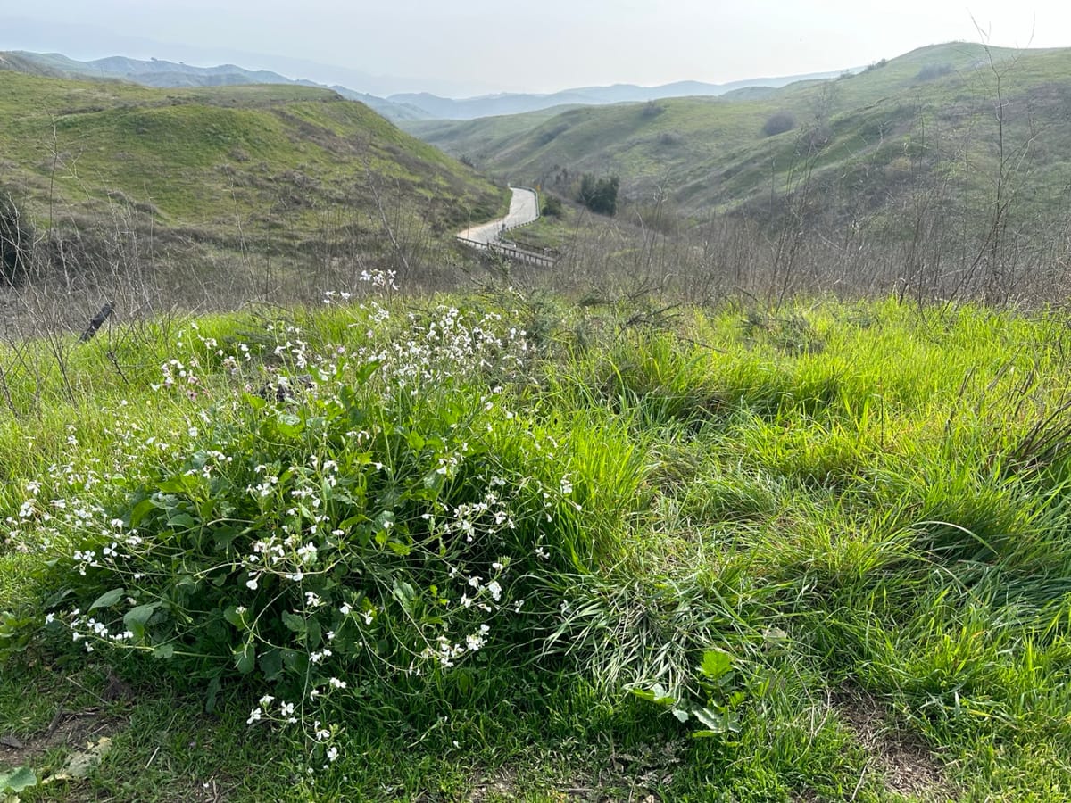 POTA at Chino Hills State Park