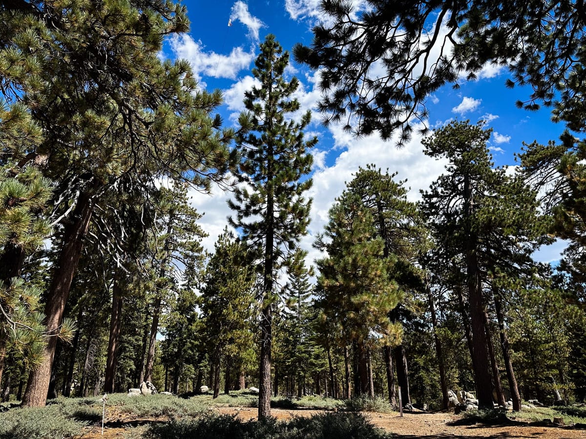 Activating San Bernardino National Forest 8/31/24