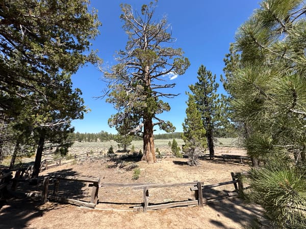 Activating San Bernardino National Forest